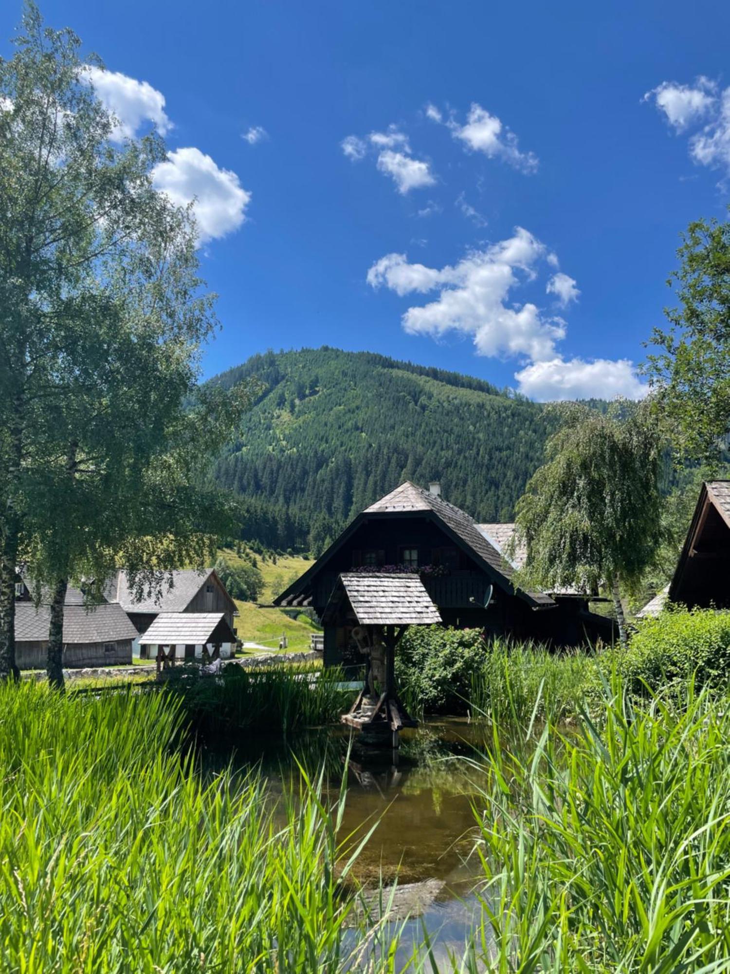 Ferienhaus Bettina Rassis Feriendorf Donnersbachwald Exterior foto